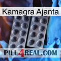 Kamagra Ajanta 31